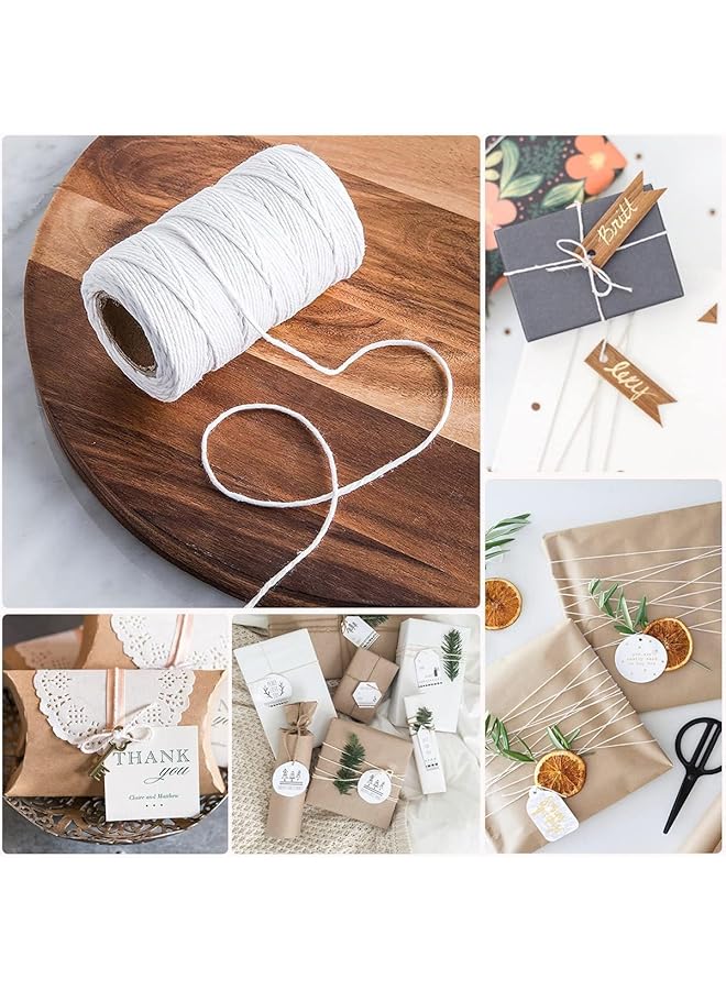 إيروريكس خيط جزارة قطني بيج خيط 3 مم للحرف اليدوية خيط الخباز خيط طبيعي للحرف اليدوية خيط حديقة خيط تغليف الهدايا 2 بيج - Image 2