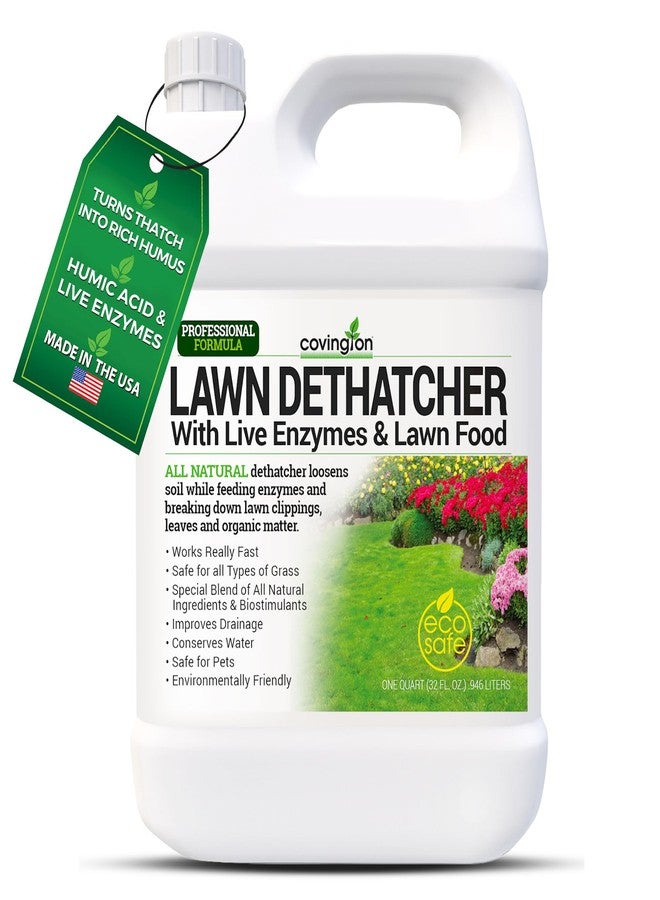 Covington Naturals Covington Liquid Lawn Dethatcher, Liquid Aerator Aerating Soil Loosener to Condition Compacted Soil, Humic Grass Thatch Remover Buster, Kid and Pet Safe, 32 Oz - Image 1