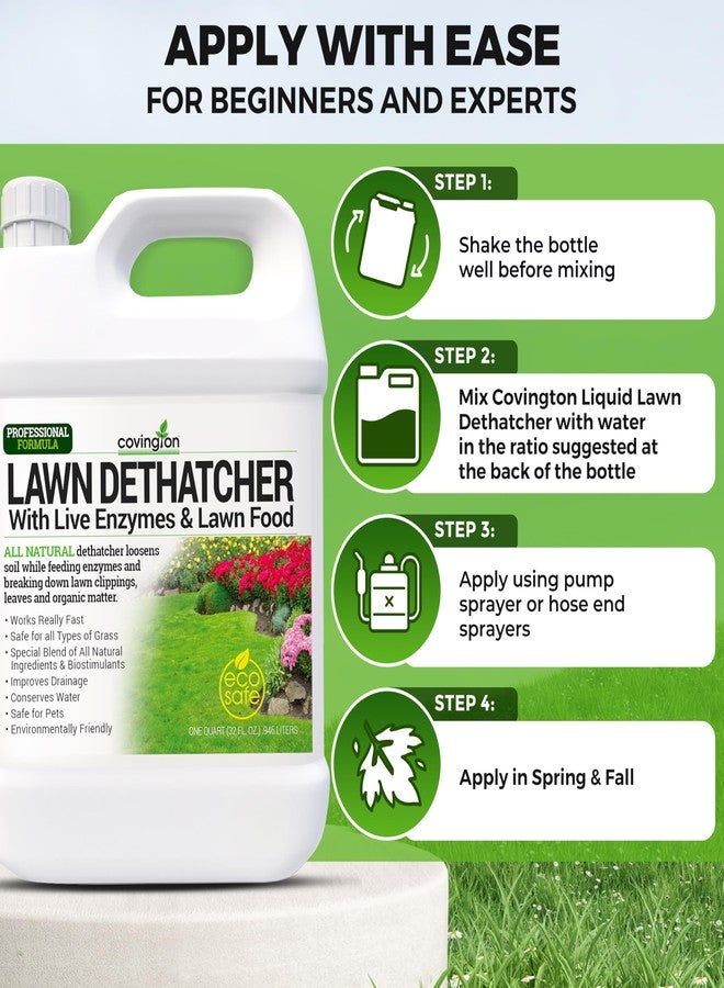 Covington Naturals Covington Liquid Lawn Dethatcher, Liquid Aerator Aerating Soil Loosener to Condition Compacted Soil, Humic Grass Thatch Remover Buster, Kid and Pet Safe, 32 Oz - Image 4