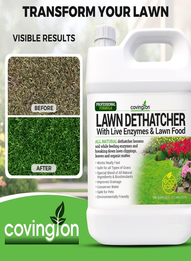 Covington Naturals Covington Liquid Lawn Dethatcher, Liquid Aerator Aerating Soil Loosener to Condition Compacted Soil, Humic Grass Thatch Remover Buster, Kid and Pet Safe, 32 Oz - Image 5