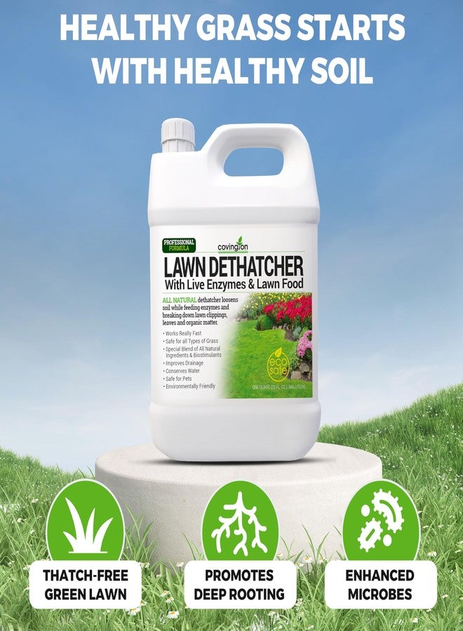 Covington Naturals Covington Liquid Lawn Dethatcher, Liquid Aerator Aerating Soil Loosener to Condition Compacted Soil, Humic Grass Thatch Remover Buster, Kid and Pet Safe, 32 Oz - Image 2