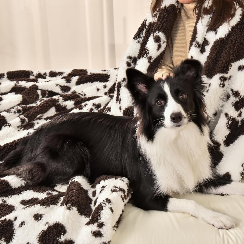 PHF Cute Brown Cow Print Sherpa Fleece Blanket Twin Size (152cm x 203 cm) for Teens Kids, Reversible Thick and Warm Blanket for Winter, Ultra Soft Fuzzy Animal Pattern Bedding for Bed Sofa Couch Travel - Image 2