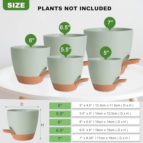 INKULTURE Flower Pot for Indoor Plants – Self Watering Plant Pot Set of 5, Multi Size Plastic Planter with Drainage Hole & Watering Lip (7/6.5/6/5.5/5 Inch) Green | Pots for Home, Office & Succulents - Image 2