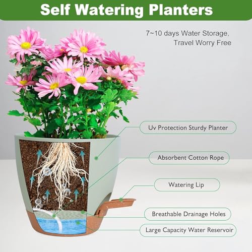 INKULTURE Flower Pot for Indoor Plants – Self Watering Plant Pot Set of 5, Multi Size Plastic Planter with Drainage Hole & Watering Lip (7/6.5/6/5.5/5 Inch) Green | Pots for Home, Office & Succulents - Image 4