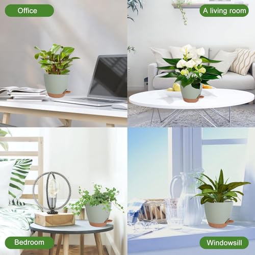 INKULTURE Flower Pot for Indoor Plants – Self Watering Plant Pot Set of 5, Multi Size Plastic Planter with Drainage Hole & Watering Lip (7/6.5/6/5.5/5 Inch) Green | Pots for Home, Office & Succulents - Image 5