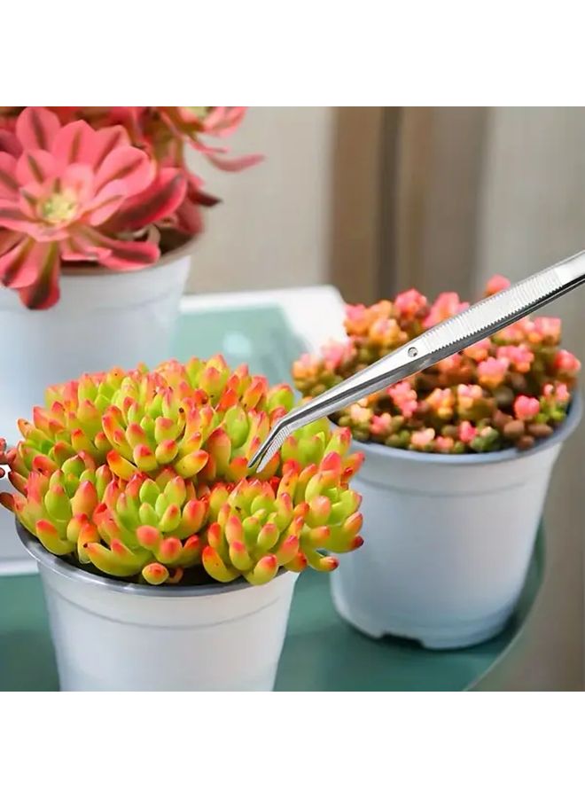 6 Piece Stainless Steel Succulent Tongs Set Gardening Tools For Cactus Care - Image 5