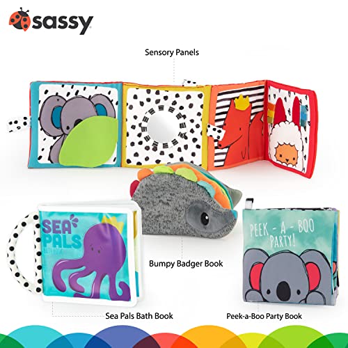 Sassy Rookie Books Baby Box - 2+ Months - Image 3