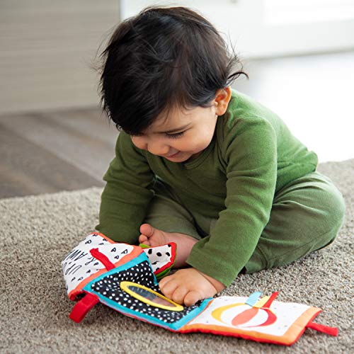 Sassy Rookie Books Baby Box - 2+ Months - Image 5