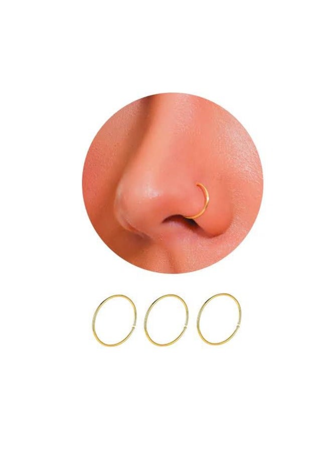 Generic Hoop Cartilage Earring Fake Earrings Nose Rings Septum Nose Ring small for Women Men Girls 2 pcs (gold)  - Image 1