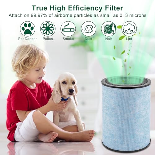 Katerelis 2 Pack for Instant AP300 Filter Replacement, True and Activated Carbon Filter, Compatible with Instant AP300, Compare to F300 Filter - Image 4