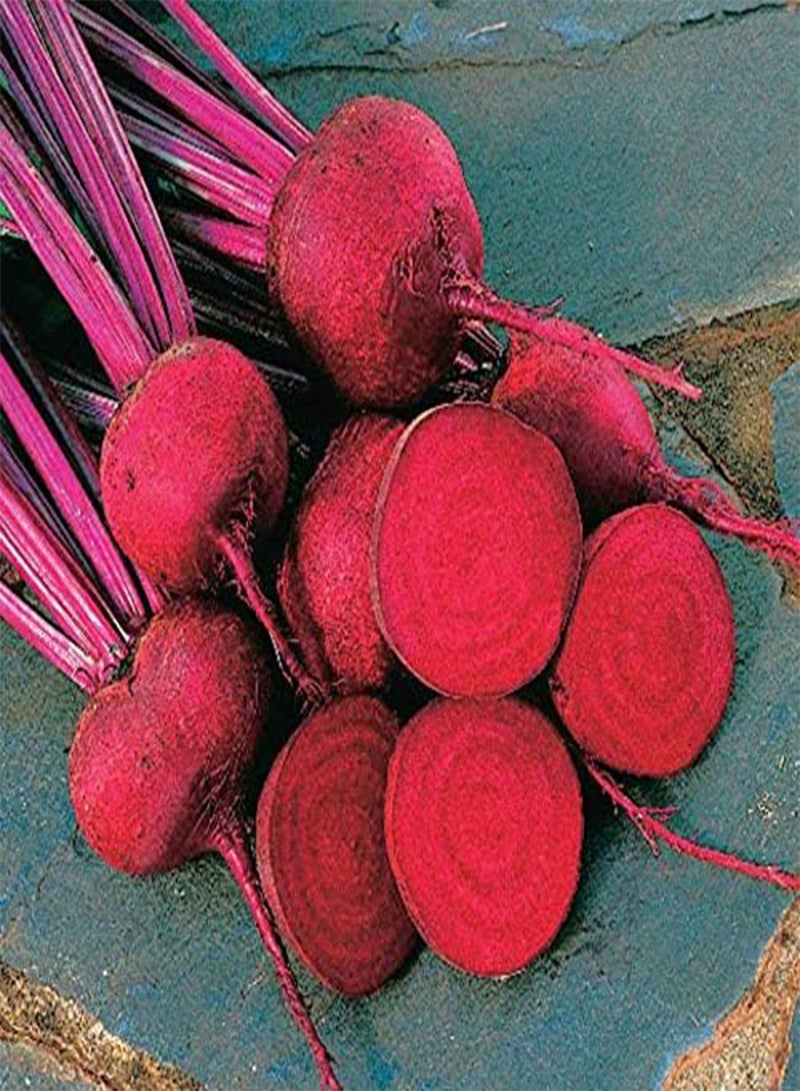 GGOOT Red Ace Beet Seeds - Sweeender, Ideal for Baby Beets & Winter Storage, Fast-Growing Hybrid with Bright Green Tops (10 Seeds)