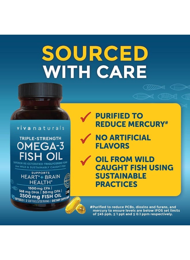 Viva Naturals Viva Naturals Highly Concentrated Fish Oil Supplement, 2,500mg Fish Oil/Serving (1500mg of EPA and 570mg of DHA) - 90 Capsules  - Image 3