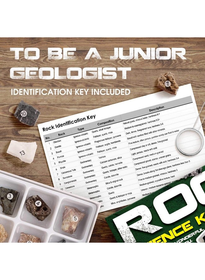 XX Toys Rock Stone Colletction Science Kit Geology Kid Specimens Gift Presents 15Pcs Magnifier Included - Image 2