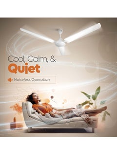 ABBASALI Ceiling Fan 56 Inch With Installation  - Image 3