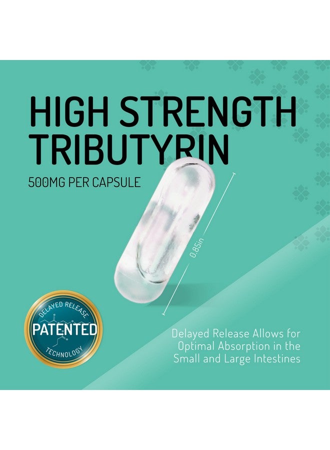 Healus Complete Biotic - Postbiotic Tributyrin Supplement - Postbiotics for Gut Health - Butyrate Gut Health Supplement - Image 3