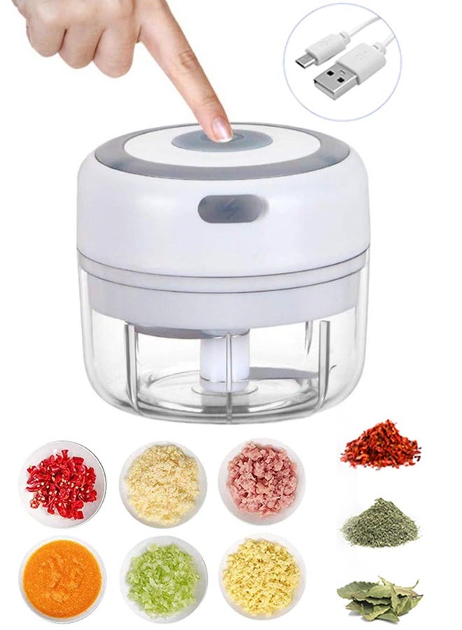 Electric Garlic Chopper 100ML Vegetable Chopper Food Chopper USB Mini Garlic Mincer  Onion Chopper Portable Small Food Processor for Garlic, Ginger, Chili, Vegetables - Image 1