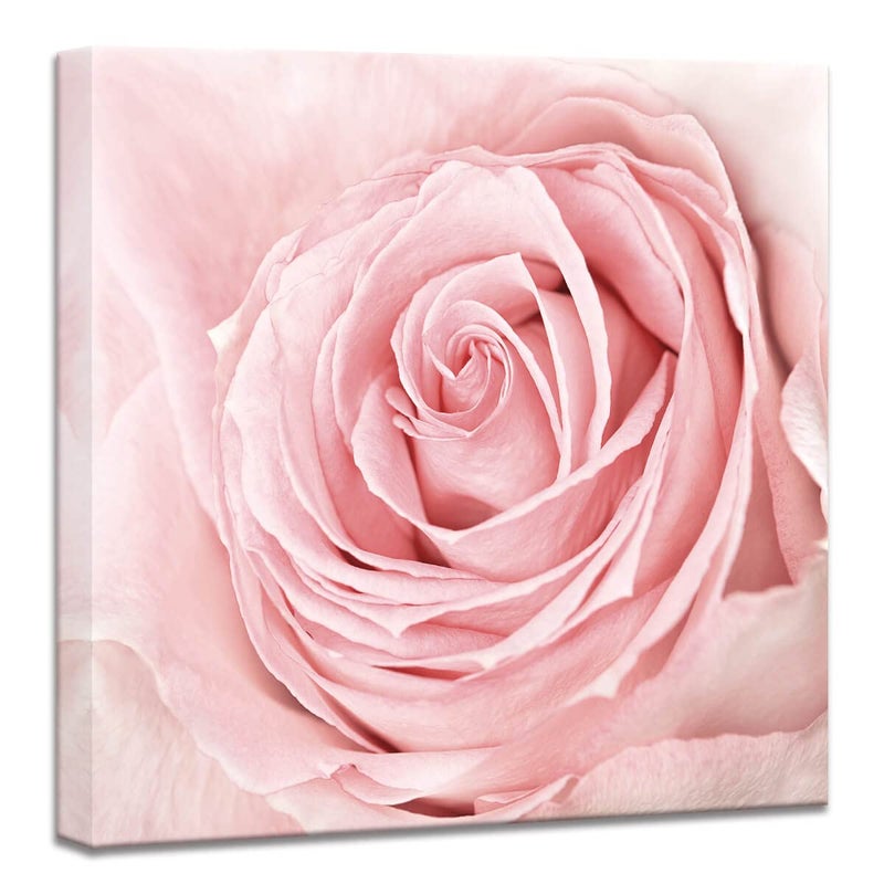 Pink Bathroom Decor  Pink Rose Close Up Canvas Wall Art Blush Pink Room Decor Aesthetic Light Pink Bedroom Decor Pink Artwork for Home Walls Floral Wall Pictures for Bathroom Wrapped 14x14inch