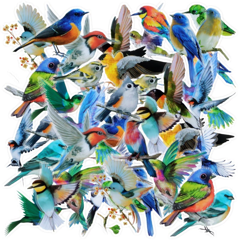 Aixoom 40PCS Bird Stickers, Bird Stickers Waterproof for Scrapbook Journal Laptop Gift Water Bottle Cell Phone Cases for Adults Kids Aesthetic Crafts - Image 1