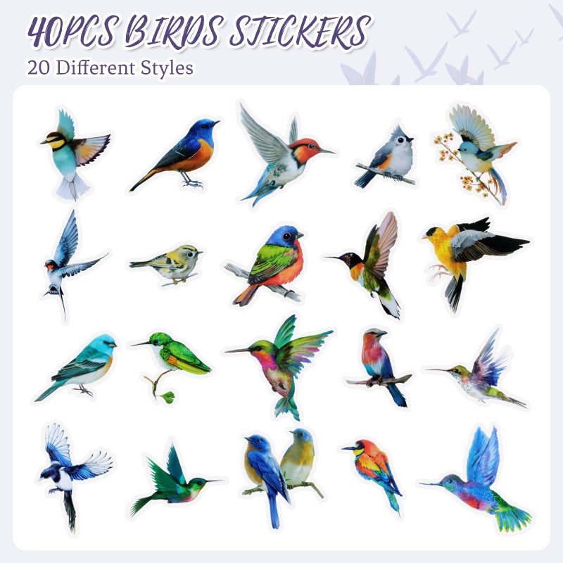Aixoom 40PCS Bird Stickers, Bird Stickers Waterproof for Scrapbook Journal Laptop Gift Water Bottle Cell Phone Cases for Adults Kids Aesthetic Crafts - Image 2