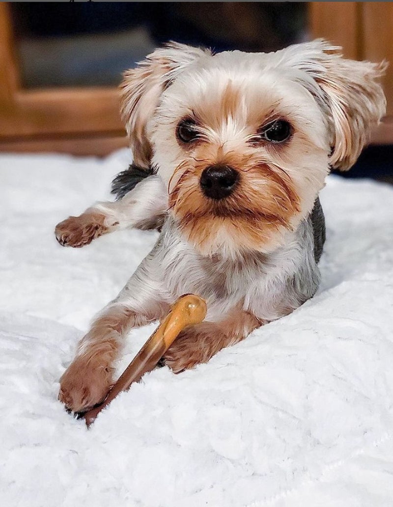Nylabone Original Bone Power Chew Toy for Dogs, Durable Dog Toys for Aggressive Chewers, Flavor Frenzy Bacon Cheeseburger & Apple Pie Flavor, Small - Up to 25 Ibs, 2 Pack - Image 2