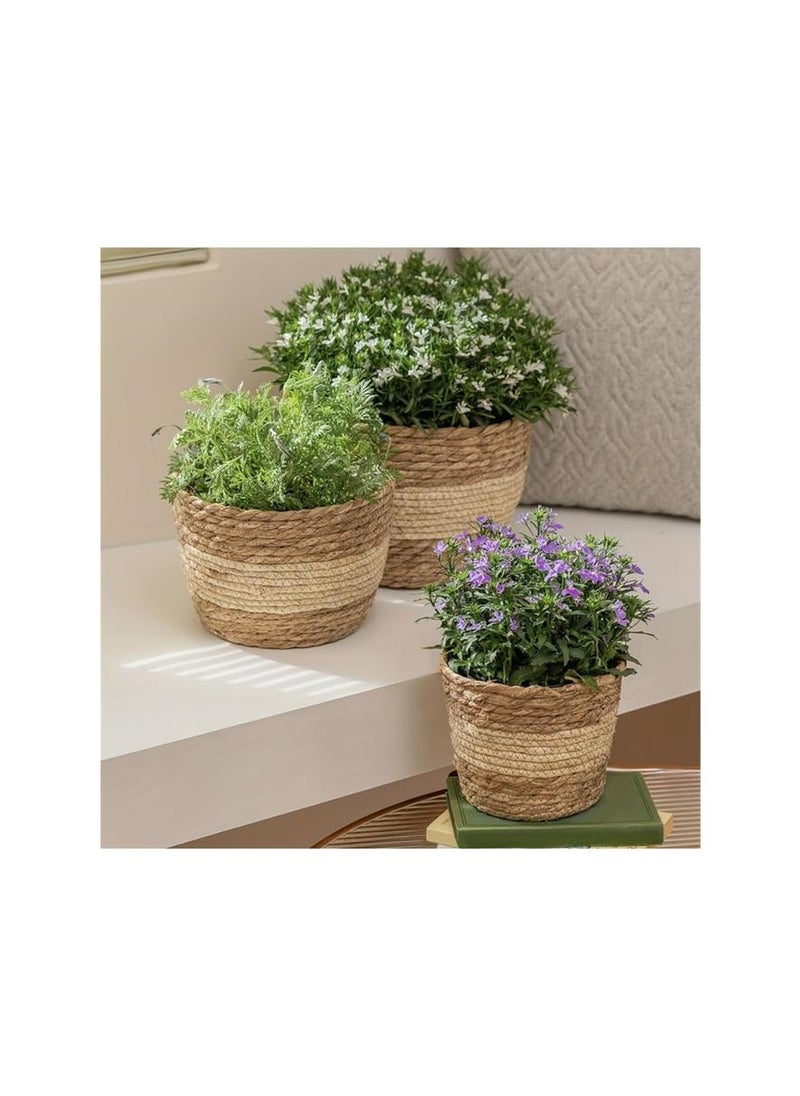 yongsheng Seagrass Planter Basket Indoor Outdoor, Flower Pots Cover, Plant Containers, Beige, Set Of 3 Flower Pots  - Image 4