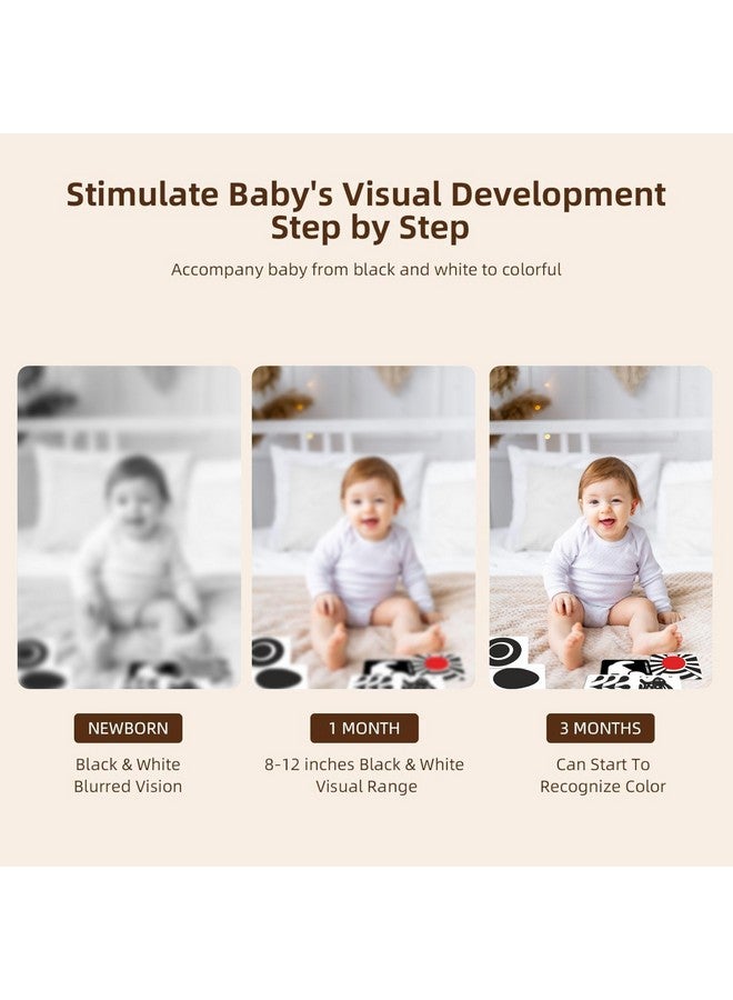 ويبي بطاقات ويبي التعليمية عالية التباين للأطفال | ألعاب تنمية الدماغ | بطاقات أنشطة التحفيز البصري | 30 بطاقة، 60 رسمًا توضيحيًا، بطاقات تنمية حسية بالأبيض والأسود لحديثي الولادة والرضع والأطفال الصغار - Image 3