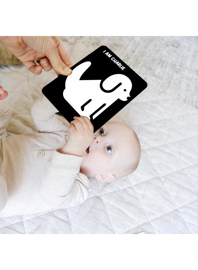 ويبي بطاقات ويبي التعليمية عالية التباين للأطفال | ألعاب تنمية الدماغ | بطاقات أنشطة التحفيز البصري | 30 بطاقة، 60 رسمًا توضيحيًا، بطاقات تنمية حسية بالأبيض والأسود لحديثي الولادة والرضع والأطفال الصغار - Image 2