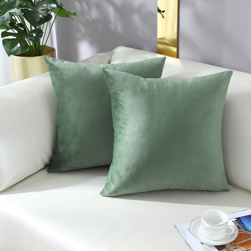 mixeoo Comfy Sage Green Throw Pillow Covers Decorative Square Solid Thick Velvet Super Soft Couch Cushion Cases for Bedroom Sofa Decor, Set of 2, 20 x 20 Inch - Image 2