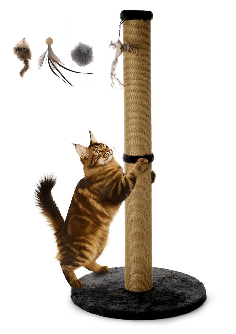 Ewenono 34inches Tall Cat Scratching Post with Plush Base Cat Scratcher for Indoor Cat with Natural Sisal Rope, Black Round Platform,Have 4 Replacement Pendant - Image 1