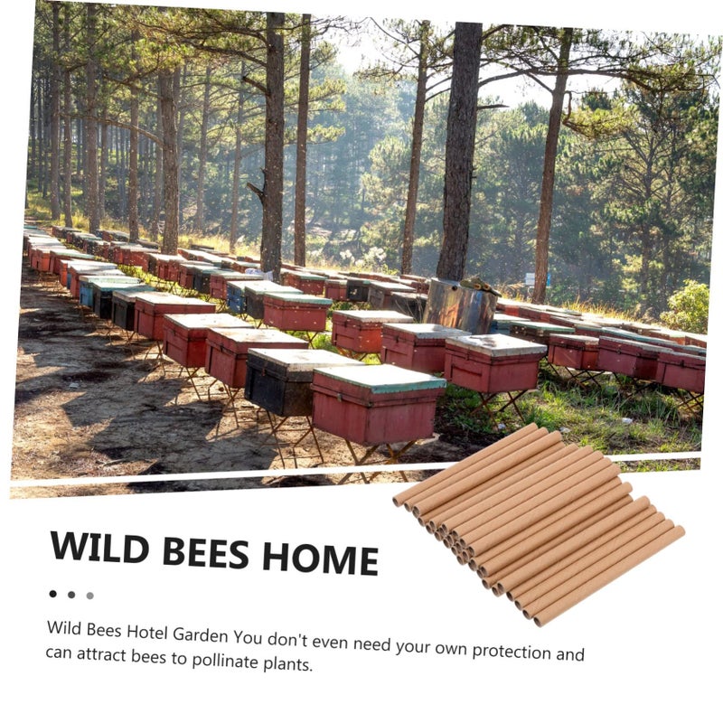 HANABASS 200 Pcs Sturdy Cardboard Beehive Paper Tubes For Beekeeping Craft Making - Image 5