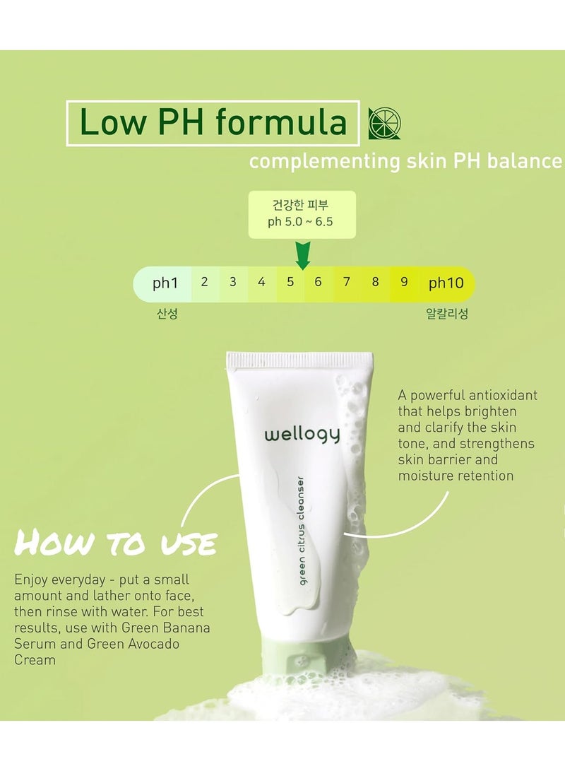 Wellogy Korean Daily Foaming Face Wash with Salicylic Acid and Green Citrus Extract for Sensitive Skin, Vegan | Gentle Face Cleanser, Acne Treatment, Lightweight Formula | 100ml - Image 3