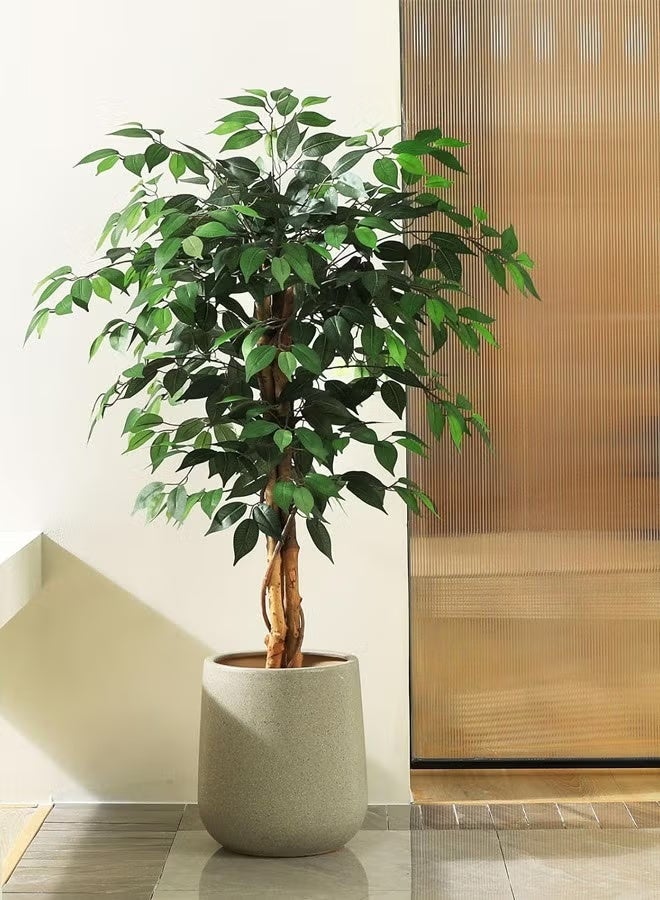 Bolivia's Artificial Ficus Tree ,Silk Fake Ficus Tree in Plastic Nursery Pot,Faux Plant for Office Home, Indoor Outdoor Decor, 180CM - Image 1