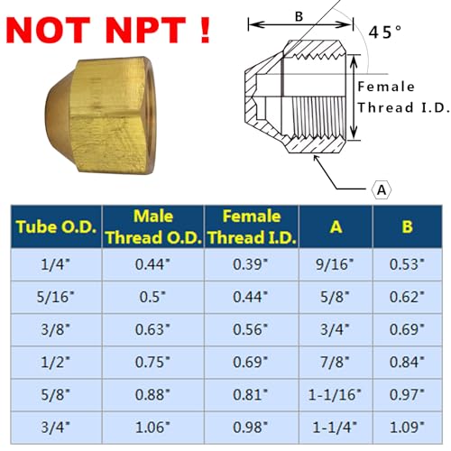 TL TOOLEGIN Brass Flare Cap Assortment Kits, SAE 45 Degree Flared Tube Fitting for 1/4" 5/16" 3/8" 1/2" 5/8" Tube OD, 5pcs - Image 3