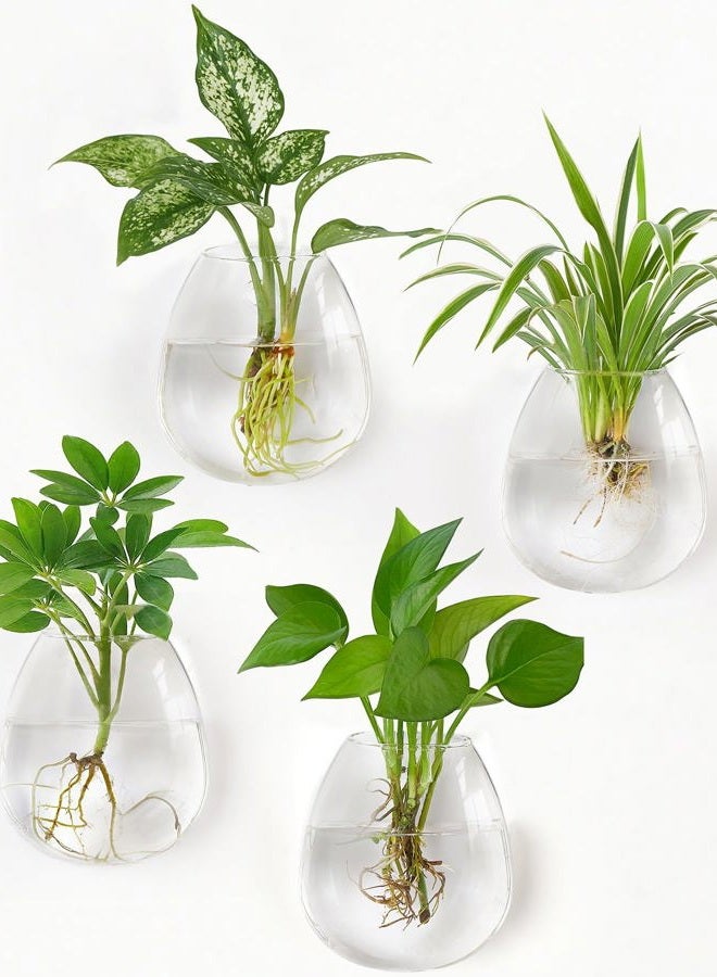 Dahey Propagation Stations Wall Hanging Planters Glass Wall Mounted Vases Oblate Terrarium for Flowers Hydroponics Indoor Plants Home Bathroom Office Decor 4 Pack - Image 1