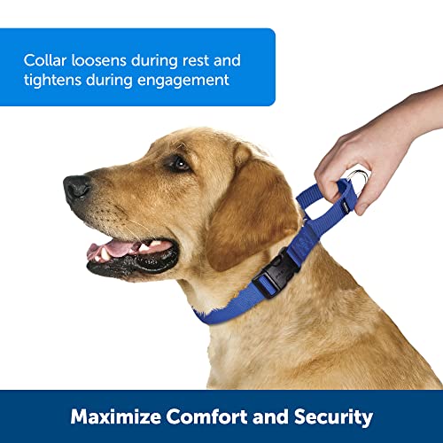 PetSafe Martingale Dog Collar with Quick Snap Buckle - No Pull Dog Collar for Walking Control - Gentle Correction - Durable Nylon Material - Adjustable No-Slip Collar - Black - Small - 3/4 Inch Wide - Image 2
