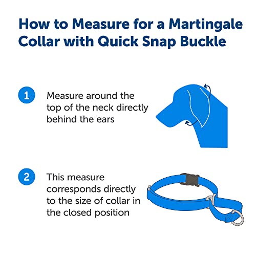 PetSafe Martingale Dog Collar with Quick Snap Buckle - No Pull Dog Collar for Walking Control - Gentle Correction - Durable Nylon Material - Adjustable No-Slip Collar - Black - Small - 3/4 Inch Wide - Image 3