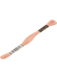 Anchor Muline Embroidery Thread 4146 