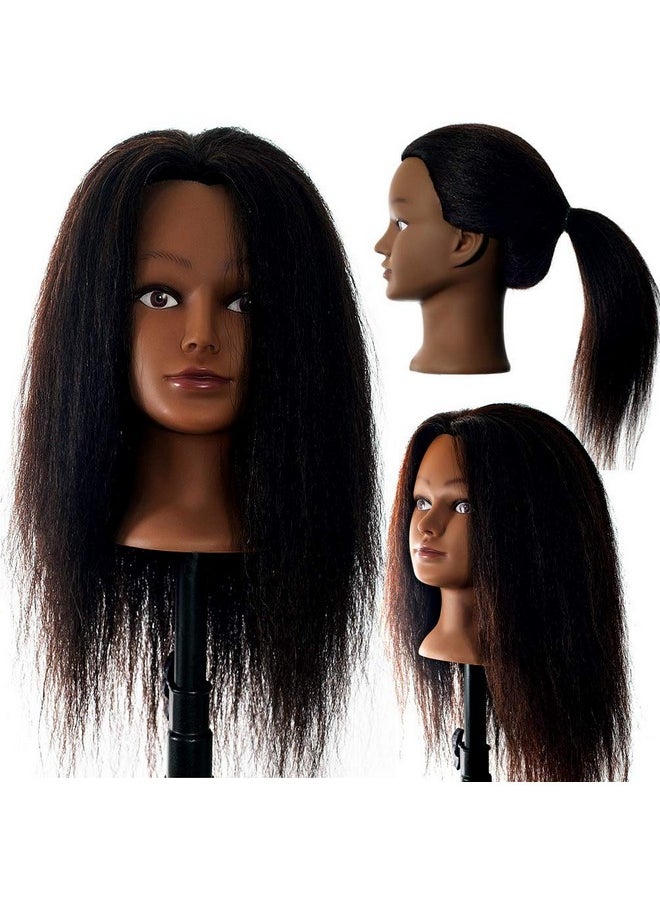 Hair By DK 100% Real Hair Mannequin 22"24" Afro Fluffy Light Yaki Kinky Straight Textured Cosmetology Beauty School Head Included Cclamp Free Of Purchase Black(22~24 Inch 2)2  - Image 2