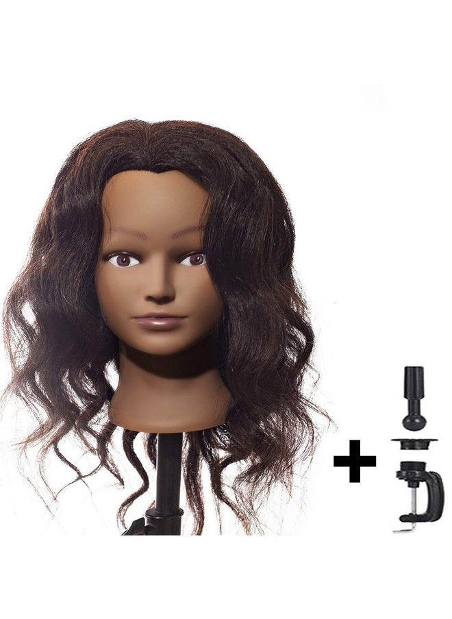 Hair By DK 100% Real Hair Mannequin 22"24" Afro Fluffy Light Yaki Kinky Straight Textured Cosmetology Beauty School Head Included Cclamp Free Of Purchase Black(22~24 Inch 2)2  - Image 4