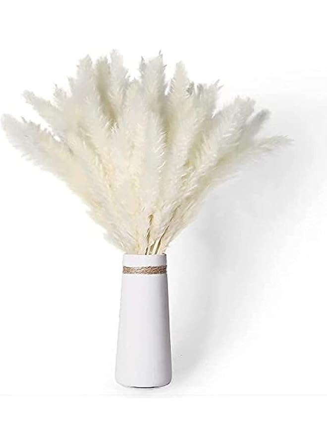 The Bros 30 قطعة من عشب البامباس الاصطناعي الكبير، ديكور عشب البامباس الاصطناعي الطويل، حشوة مزهرية أرضية، زهور مجففة لترتيبات الزهور لحفلات الزفاف والديكور المنزلي والحفلات | أبيض - Image 1
