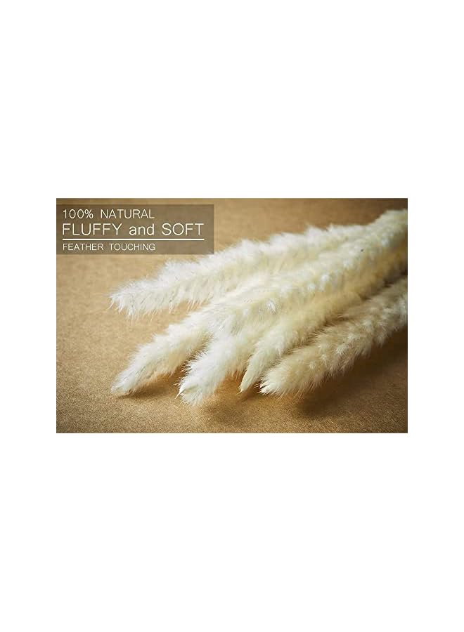 The Bros 30 قطعة من عشب البامباس الاصطناعي الكبير، ديكور عشب البامباس الاصطناعي الطويل، حشوة مزهرية أرضية، زهور مجففة لترتيبات الزهور لحفلات الزفاف والديكور المنزلي والحفلات | أبيض - Image 5