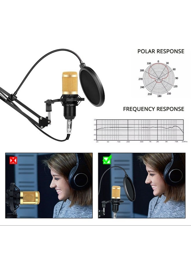 dida-cosmos Adjustable Recording Condenser Microphone BM800 - Image 4