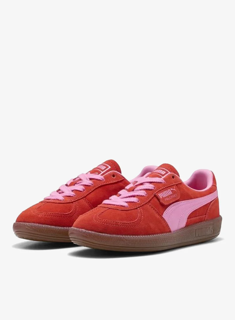 Puma Fierce Red-Poison Pink Palermo Sneakers Unisex for Men | Best Price UAE