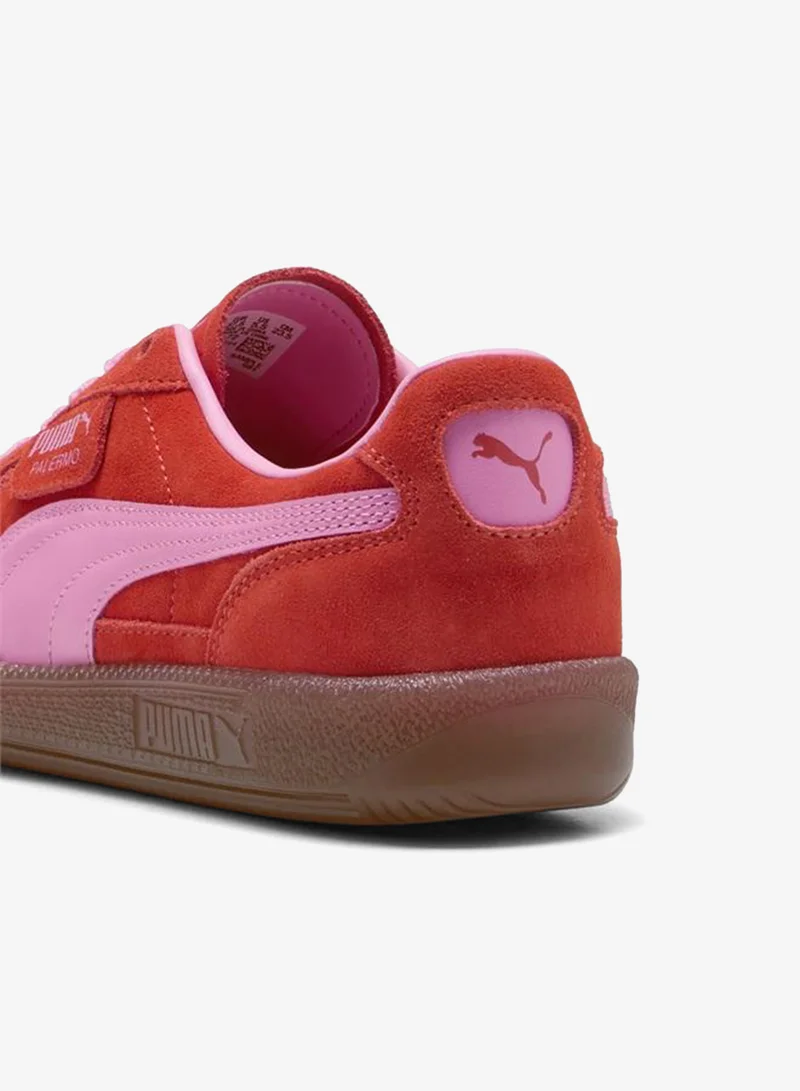 Puma Fierce Red-Poison Pink Palermo Sneakers Unisex for Men | Best Price UAE