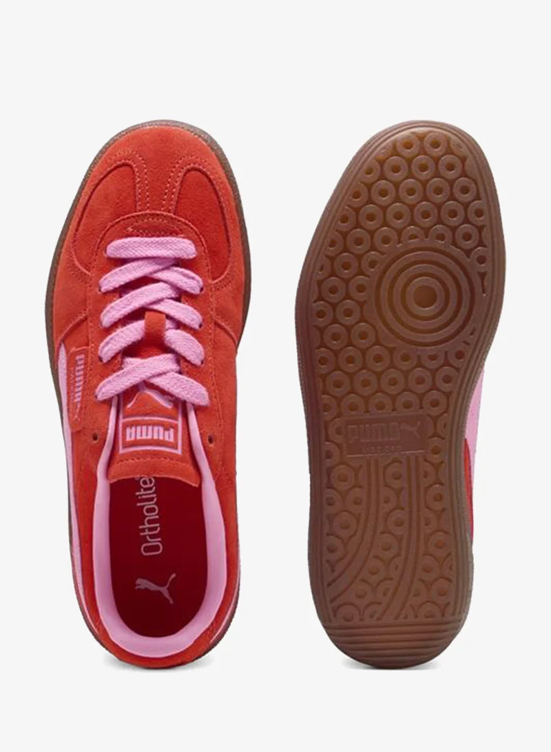 Puma Fierce Red-Poison Pink Palermo Sneakers Unisex for Men | Best Price UAE