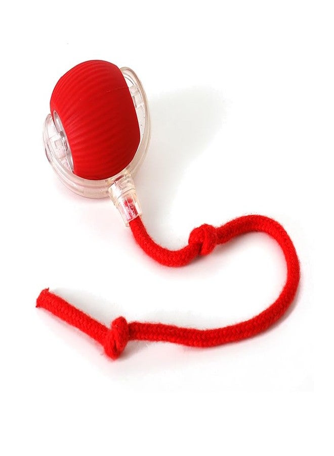 Cat and Small Dog Toy Ball with Tail Rope, Red - Image 2