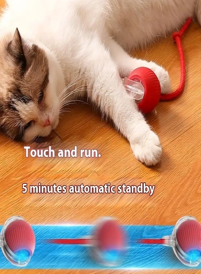 Cat and Small Dog Toy Ball with Tail Rope, Red - Image 3