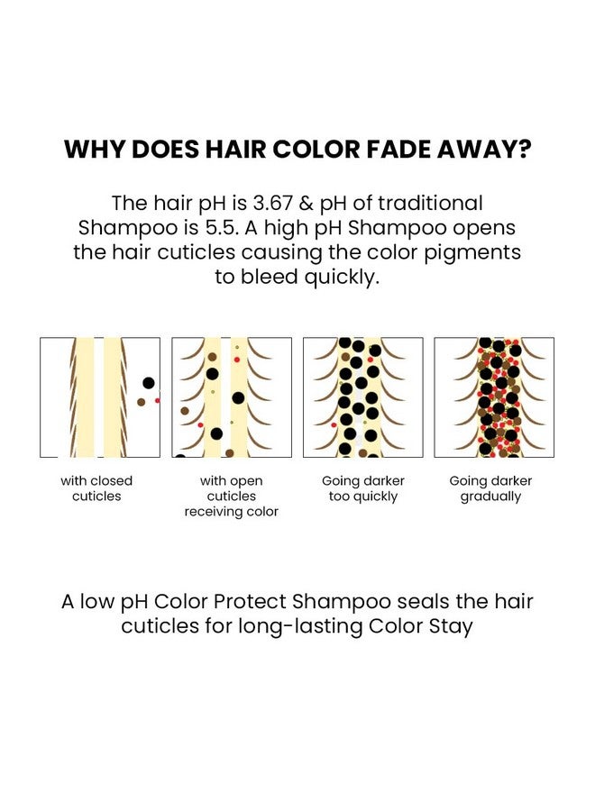 Thriveco Color Protection Shampoo | For Dye & Color Treated Hair | Bond Building Tech HYAPLEXâ¢ & Hyaluronic Acid | Promotes Shine & Color Vibrancy | For Men & Women | 250ml (Pack of 1 (shampoo)) - Image 5