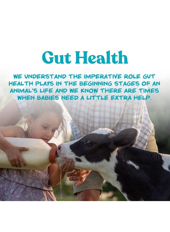 مانا برو بديل حليب مانا برو نيرس متعدد الأنواع® - مدعم بتقنية Opti-Gut™ لدعم صحة الأمعاء والهضم - بروتين حليب كامل الدسم - تركيبة سهلة الخلط - 8 أرطال - Image 5