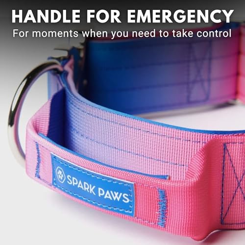 Spark Paws Tactical Dog Collar with Handle - Premium Quality Collar, Robust and Durable Design for Large, Strong Breeds - Pitbulls, Labradors, GSD - Snow Cone - L -1.5" - Image 4